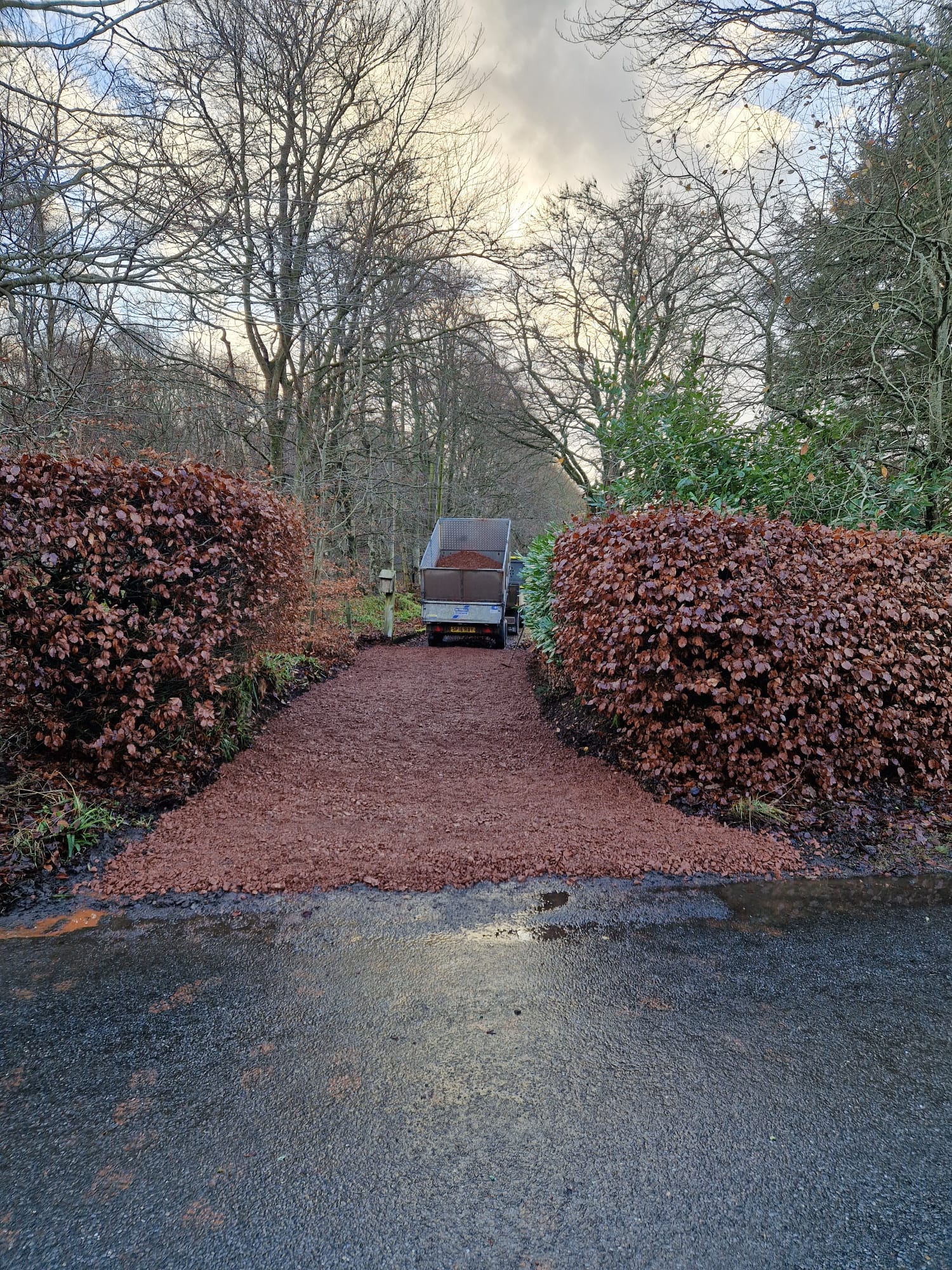 Freshly laid red chip driveway between beech hedges